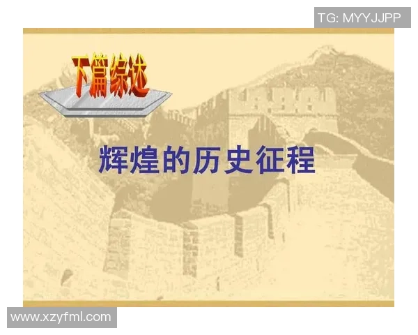 上海排球队的辉煌征程与杯赛背后的奋斗故事