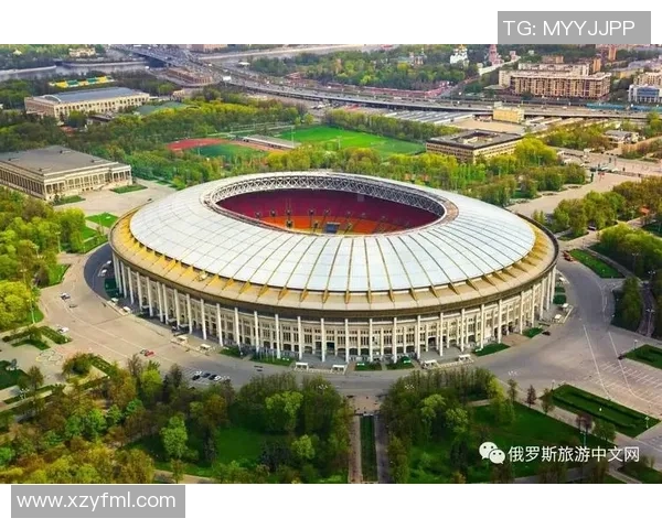 南京足球队在联合会杯中的灵活性表现分析与点评