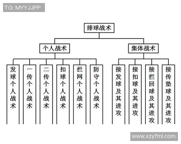 重庆排球队快攻战术解析与深度剖析全方位解读排球魅力与技巧 重庆排球队快攻战术解析与深度剖析全方位解读排球魅力与技巧