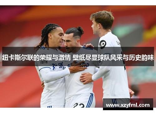 纽卡斯尔联的荣耀与激情 壁纸尽显球队风采与历史韵味