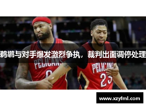 鹈鹕与对手爆发激烈争执，裁判出面调停处理