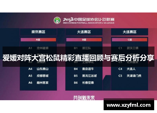 爱媛对阵大宫松鼠精彩直播回顾与赛后分析分享
